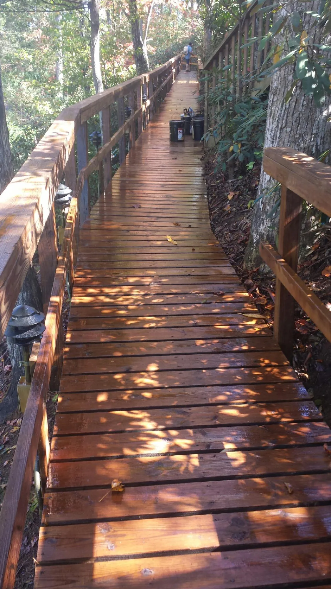 Freshly stained wood walkway winding through the woods in Grant